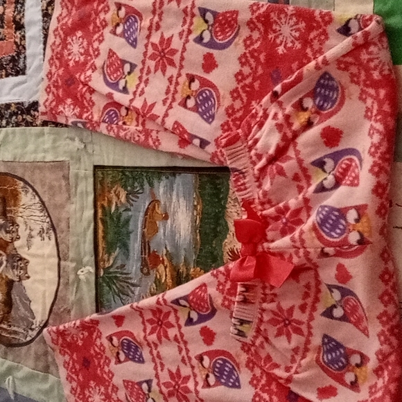 Bundle of Two,Cute Soft & Cozy, Fleece,Big Girls,PJ Bottoms with Owls,Size 7(S) - Picture 7 of 12